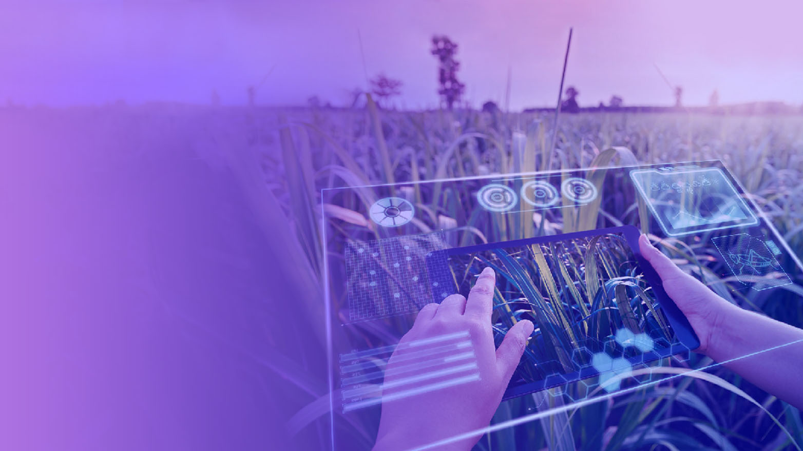 digital tech being used in a corn field