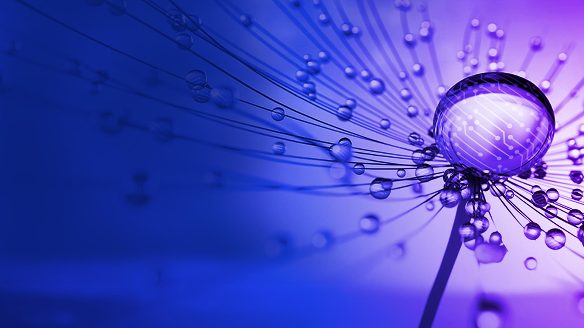 2023 KPMG US Technology Survey Report